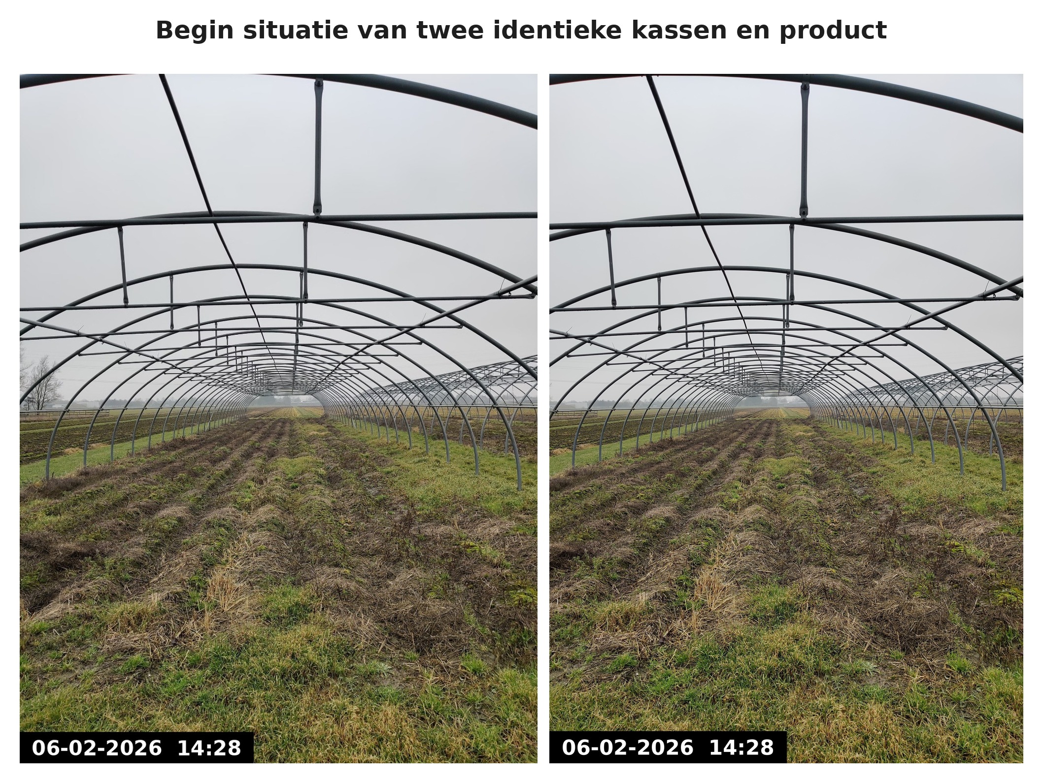 Begin situatie van de twee identieke kassen bij de start van de proef