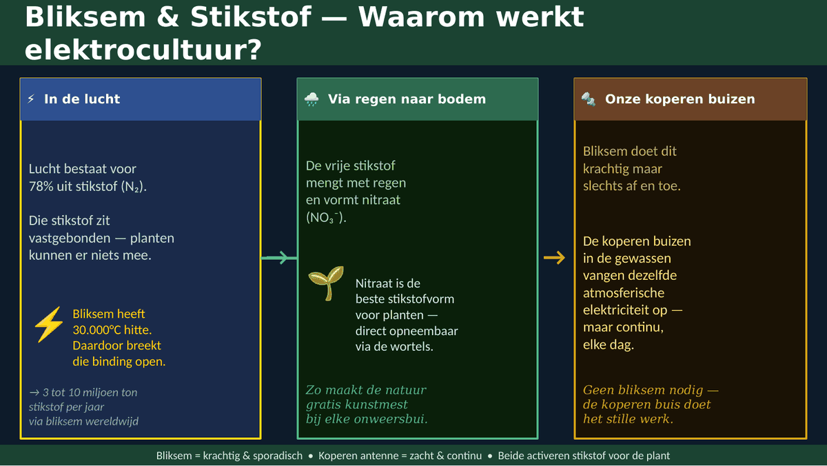 Schema in drie kolommen: stikstof in de lucht, via regen naar de bodem, en de koperen buizen in het gewas